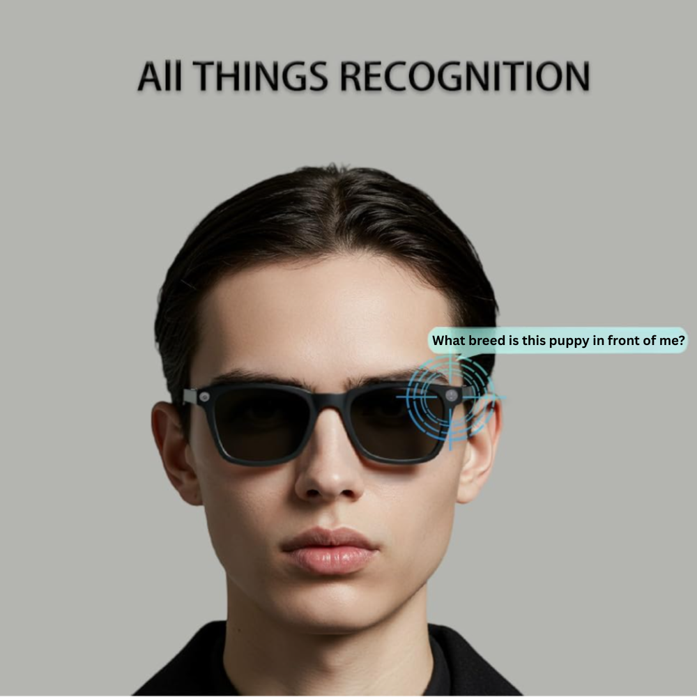 AI Smart Glasses with Built-In 1080P Camera – Bluetooth Calls, Music & Real-Time Translation – SmartView Pro